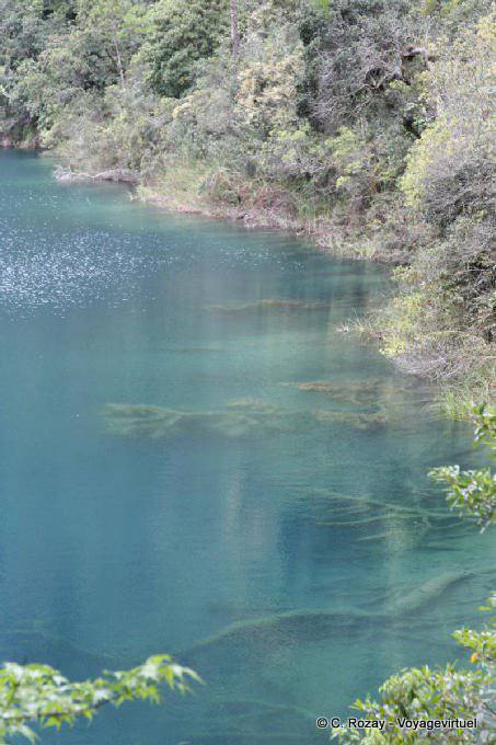 Agua transparente, Laguna Azul, Lagunas de Montebello - Mexico