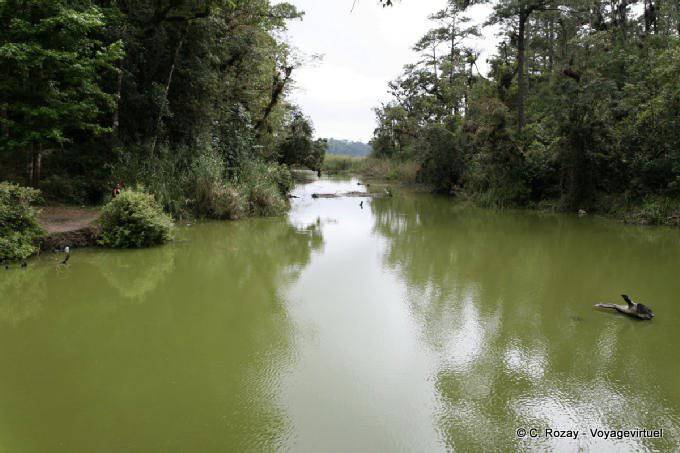 El agua verde, Lagunas de Montebello, Laguna Esmeralda - Mexico