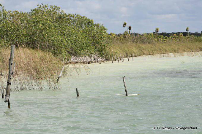Laguna de Muyil - Mexico