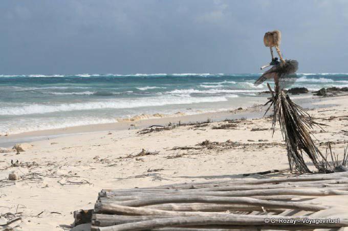 Estera Rubia, escultura hecha de materiales naturales, la playa de Tulum - Mexico
