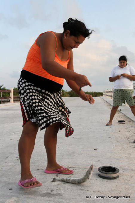 Línea de pesca desde el puente, Sian Kaan, Tulum - Mexico