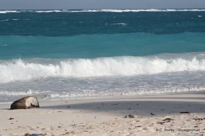 De color Caraible en la playa desierta, Tulum - Mexico