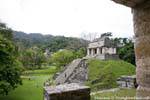 Vista del grupo norte, Templo del Conde, Palenque, Mexico.