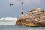 Los pescadores, fragatas y pelícanos, Tulum, Mexico.