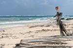 Estera Rubia, escultura hecha de materiales naturales, la playa de Tulum, Mexico.