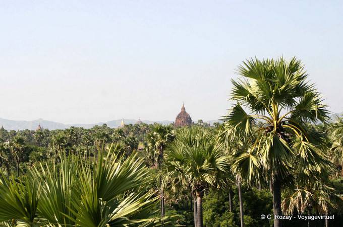 La llanura de Bagan - Myanmar (Birmania)
