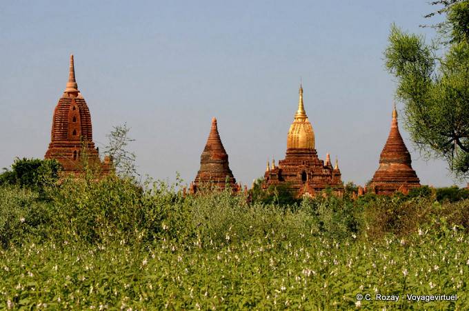 Los templos y estupas en todo el Ananda, Bagan - Myanmar (Birmania)