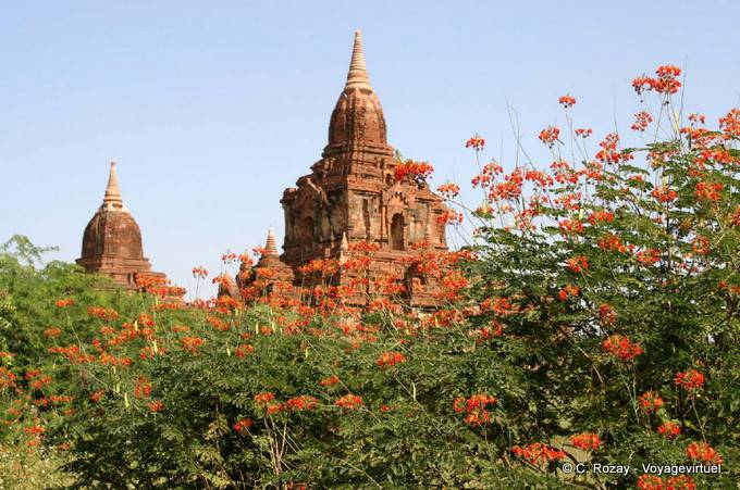Nwar Pya Gu Templo, Viejo Bagan - Myanmar (Birmania)