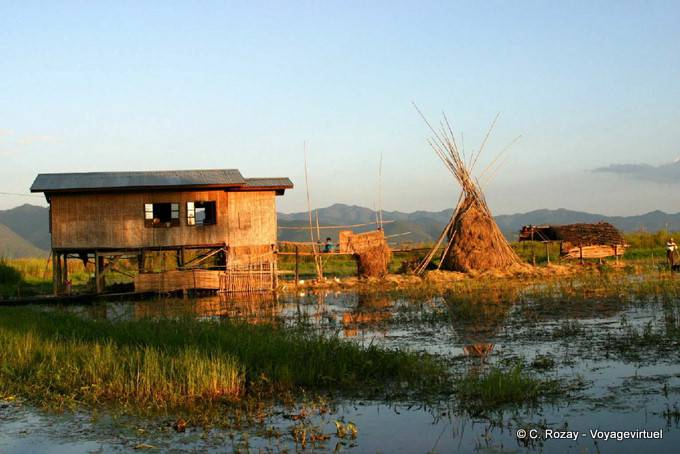 Una granja construida sobre pilotes en la etnia Cham, Lago Inle - Myanmar (Birmania)