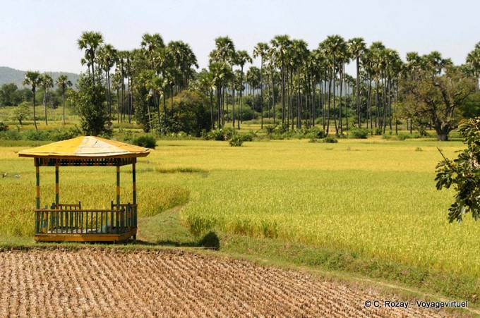 Bagan paisaje en el camino, Kalaw - Myanmar (Birmania)