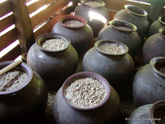La destilación antes de la fermentación del arroz en las orillas del Lago Sankar, Sagar - Myanmar (Birmania)