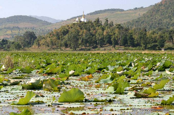 Lago sur paisaje del lago Inle, Sagar - Myanmar (Birmania)
