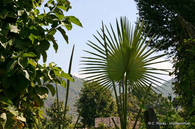 Alrededor Taungto Village, Sagar - Myanmar (Birmania)