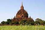 Panorama en el templo Sulamani, Bagan, Birmania.