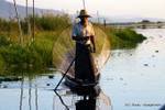 Intha pescador cerca de un jardín flotante, Lago Inle, Birmania.