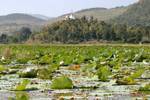 Lago sur paisaje del lago Inle, Sagar, Birmania.