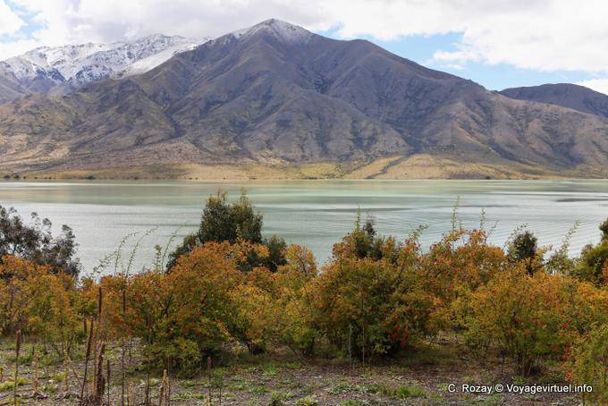 Colores de verano, Lago Benmore, Canterbury - Nueva-Zelanda