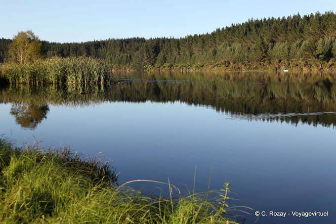 Panorama Lago Aniwhenua hacia Galatea - Nueva-Zelanda