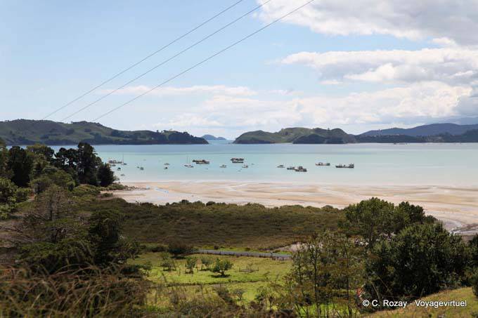 Bahía de colores, Coromandel - Nueva-Zelanda