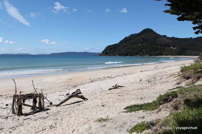 Paisaje de la playa y el bosque, Coromandel - Nueva-Zelanda