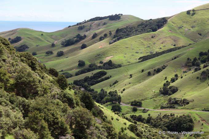 Paisaje, Carretera desde Támesis, Coromandel - Nueva-Zelanda
