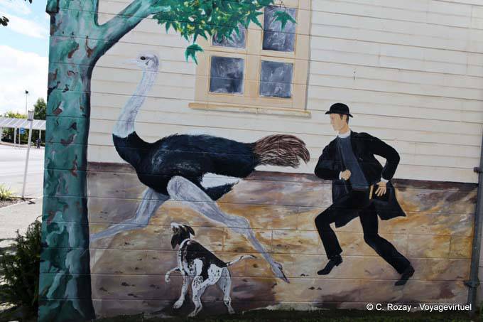 Ejecución de avestruz, Katikati - Nueva-Zelanda