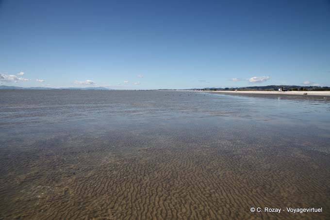 Playa sin fin, Miranda - Nueva-Zelanda