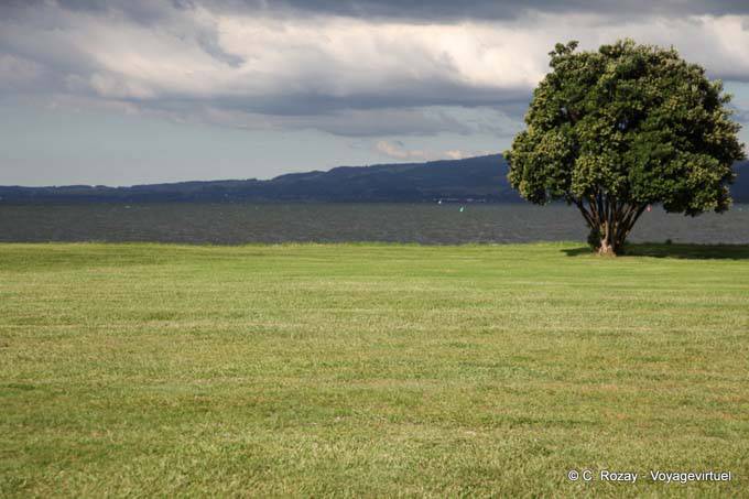 Colores, orillas del lago, Rotorua - Nueva-Zelanda