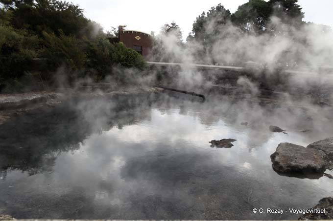 Los jardines del gobiern,o Primavera Rachel Whancapipiro, Rotorua - Nueva-Zelanda