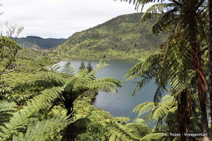 Lago Verde, Rotorua - Nueva-Zelanda