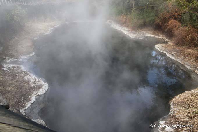 Agua caliente, Kuirau Park, Rotorua - Nueva-Zelanda