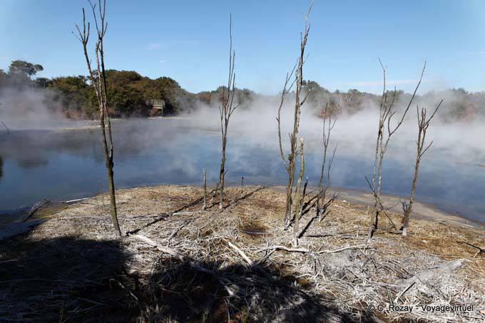 Desolación volcánica Kuirau Park, Rotorua - Nueva-Zelanda