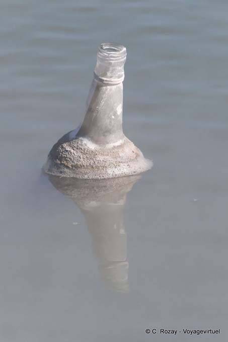 Botella calcificada Kuirau Park, Rotorua - Nueva-Zelanda