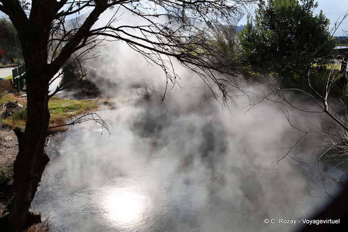 Fumarolas, Tamatekapua, Rotorua - Nueva-Zelanda
