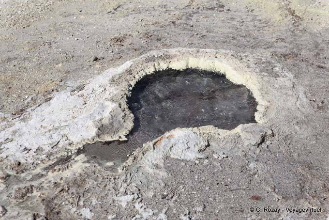 Mini hirviendo primavera Sulphur Point, volcánica Lago, Rotorua - Nueva-Zelanda