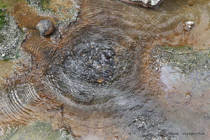 Depósitos de fuente caliente y sílice, Waimangu Volcanic Valley, Rotorua - Nueva-Zelanda