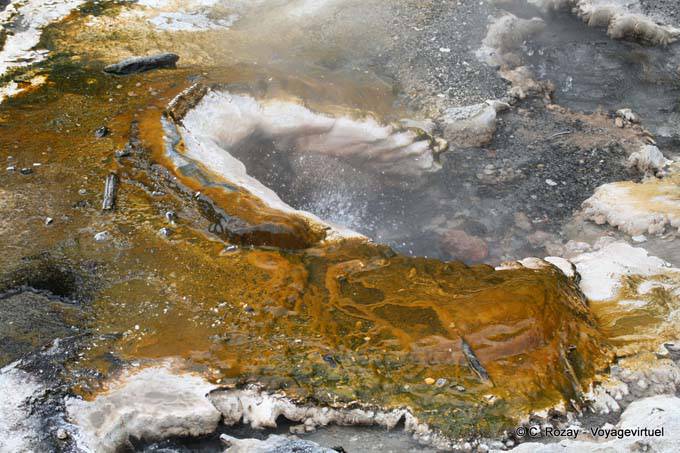 Fuente termal, Waimangu Volcanic Valley, Rotorua - Nueva-Zelanda