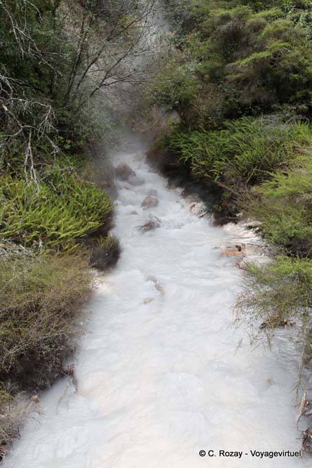 Corriente de ácido desde el infierno, valle volcánico de Waimangu, Rotorua - Nueva-Zelanda