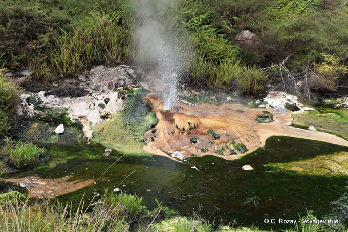Geyser Tarawera, Waimangu Volcanic Valley, Rotorua - Nueva-Zelanda