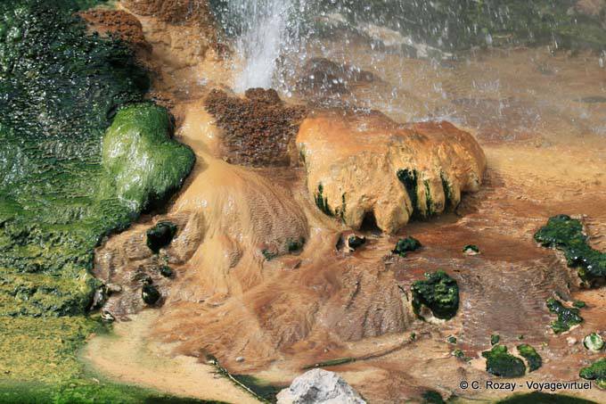 Mini géiser, valle volcánico de Waimangu, Rotorua - Nueva-Zelanda