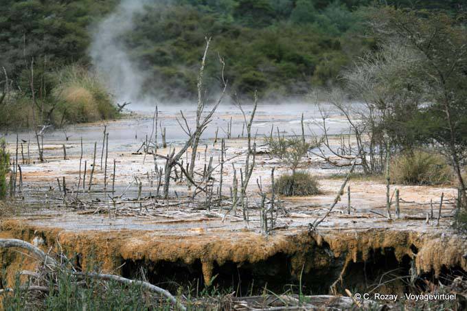 Mármol Terraza, Waimangu Volcanic Valley, Rotorua - Nueva-Zelanda