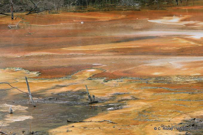 Warbrick Terraza, Waimangu Volcanic Valley, Rotorua - Nueva-Zelanda