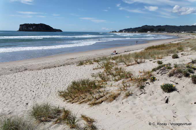 Panorama sobre Whangamata Beach Surf - Nueva-Zelanda