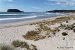 Panorama sobre Whangamata Beach Surf, Nueva-Zelanda.
