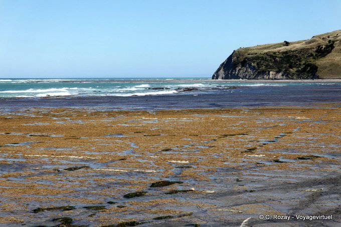 Tatapouri, Tatapuru, Cabo del Este - Nueva-Zelanda