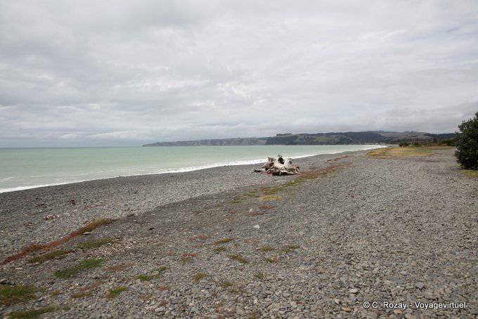 Playa en la bahía de Hawke, Napier, Costa Este - Nueva-Zelanda