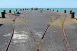 Cruce ferroviario en el pontón, Anaura Bay, Cabo del Este, Nueva-Zelanda.