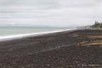 El Napier Beach, Costa Este, Nueva-Zelanda.