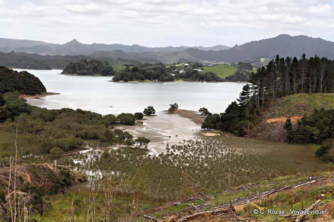 Bahía Waite Te, de Bland Bay, Northland - Nueva-Zelanda