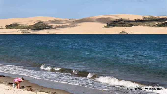 White Sand Beach, Costa de Kauri, Hokianga Harbour, Oponomi, Northland - Nueva-Zelanda